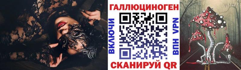 Псилоцибиновые грибы Psilocybe  Тверь 