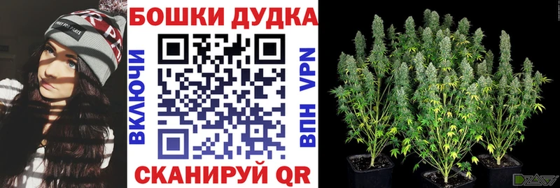 наркота  Тверь  Марихуана VHQ 